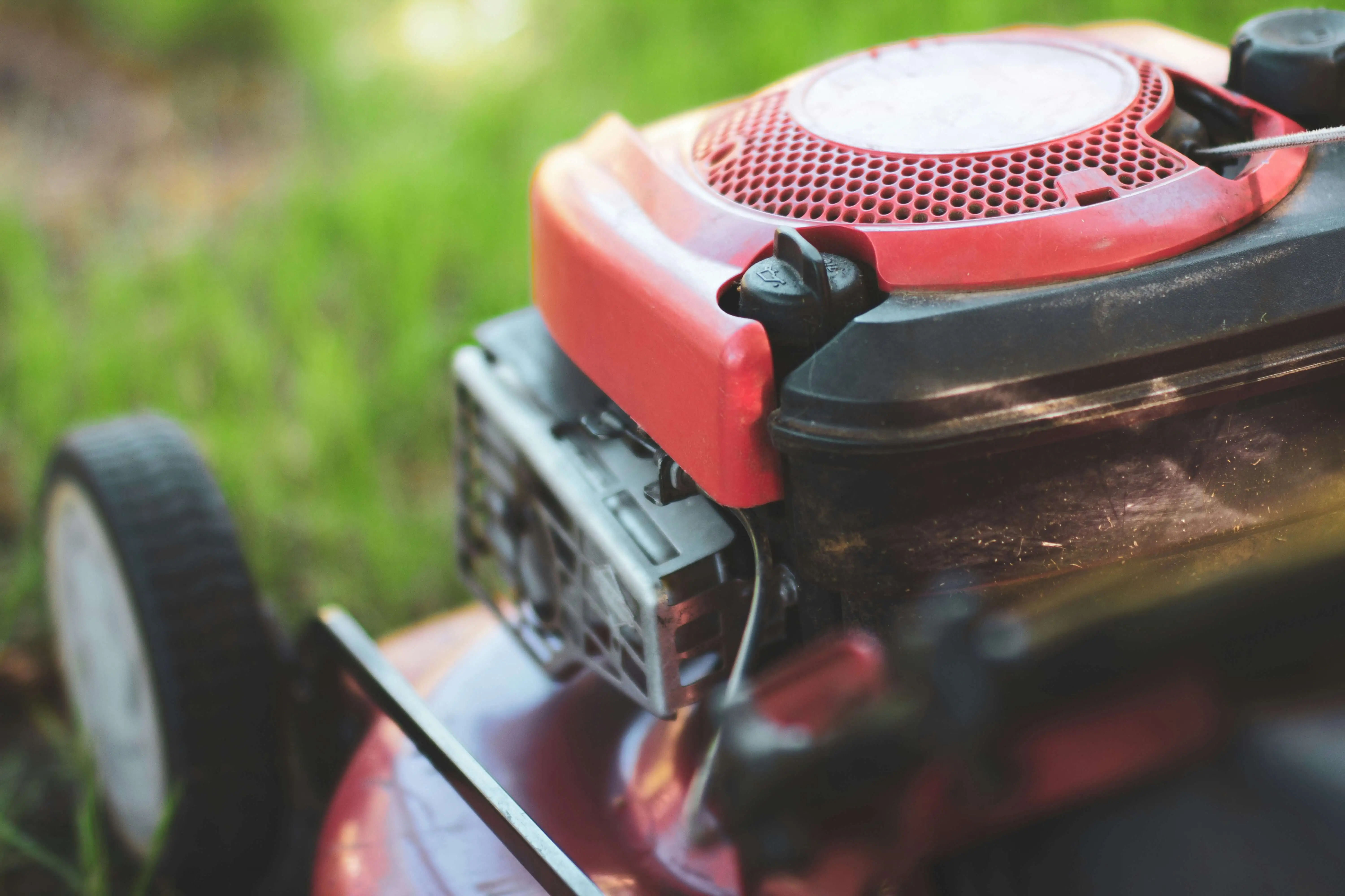Lawn mower cutting grass in a residential garden.